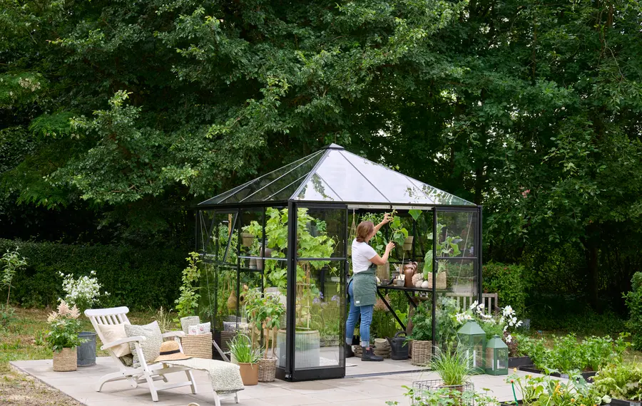 Completed black Halls Qube Square greenhouse with a gardener tending plants inside  Copy